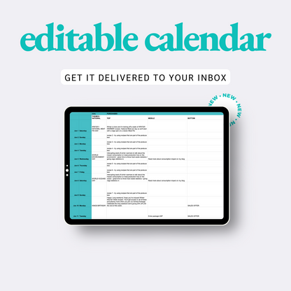 2024-2025 FY Editable Google Sheets Calendar